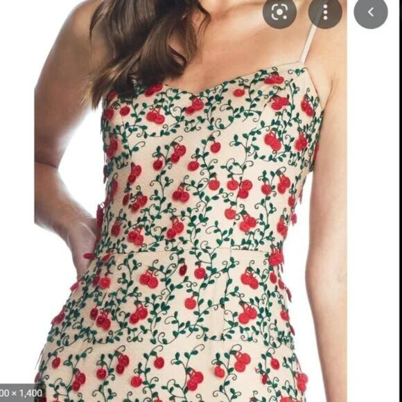 Dress the Population Kaya dress Cherry Embroidered Mini Dress Rouge Flutter Hem - Picture 3 of 12